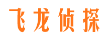 河南私家侦探